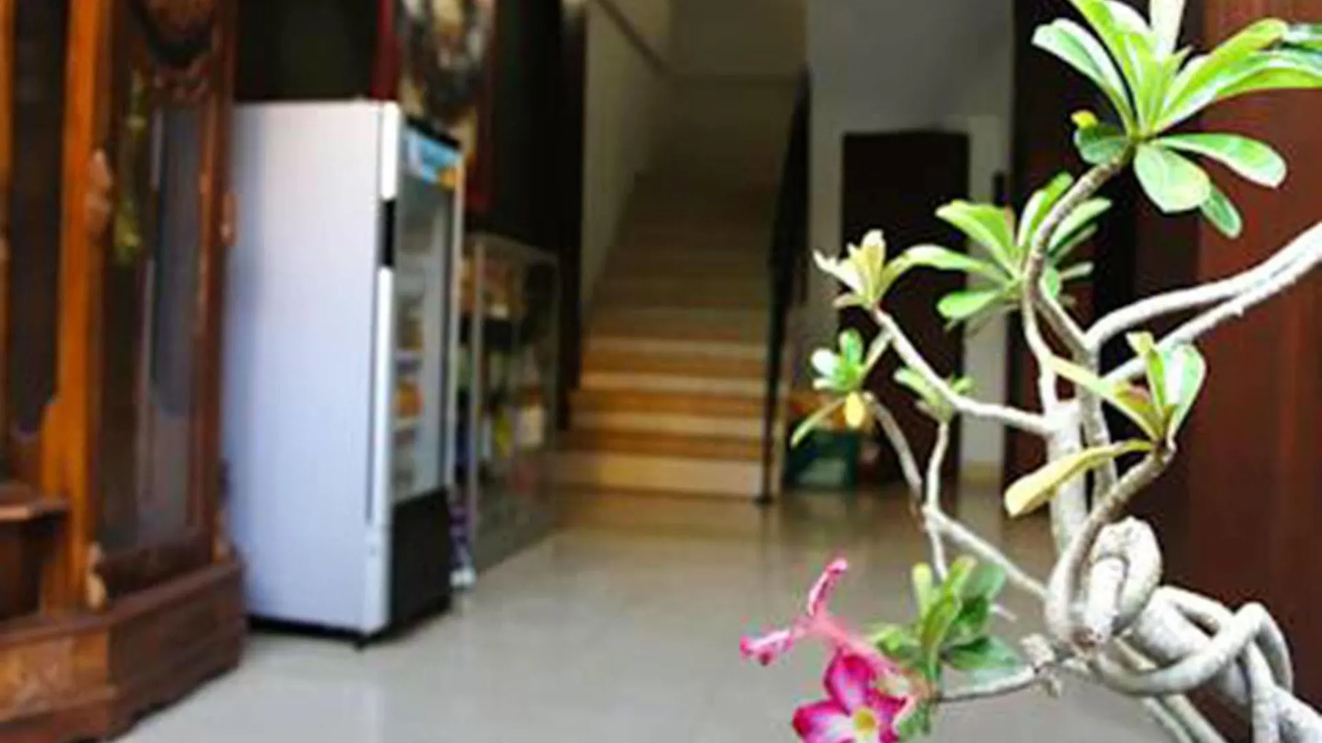 *** Guest house Graha Chania Legian Kuta  Indonesia